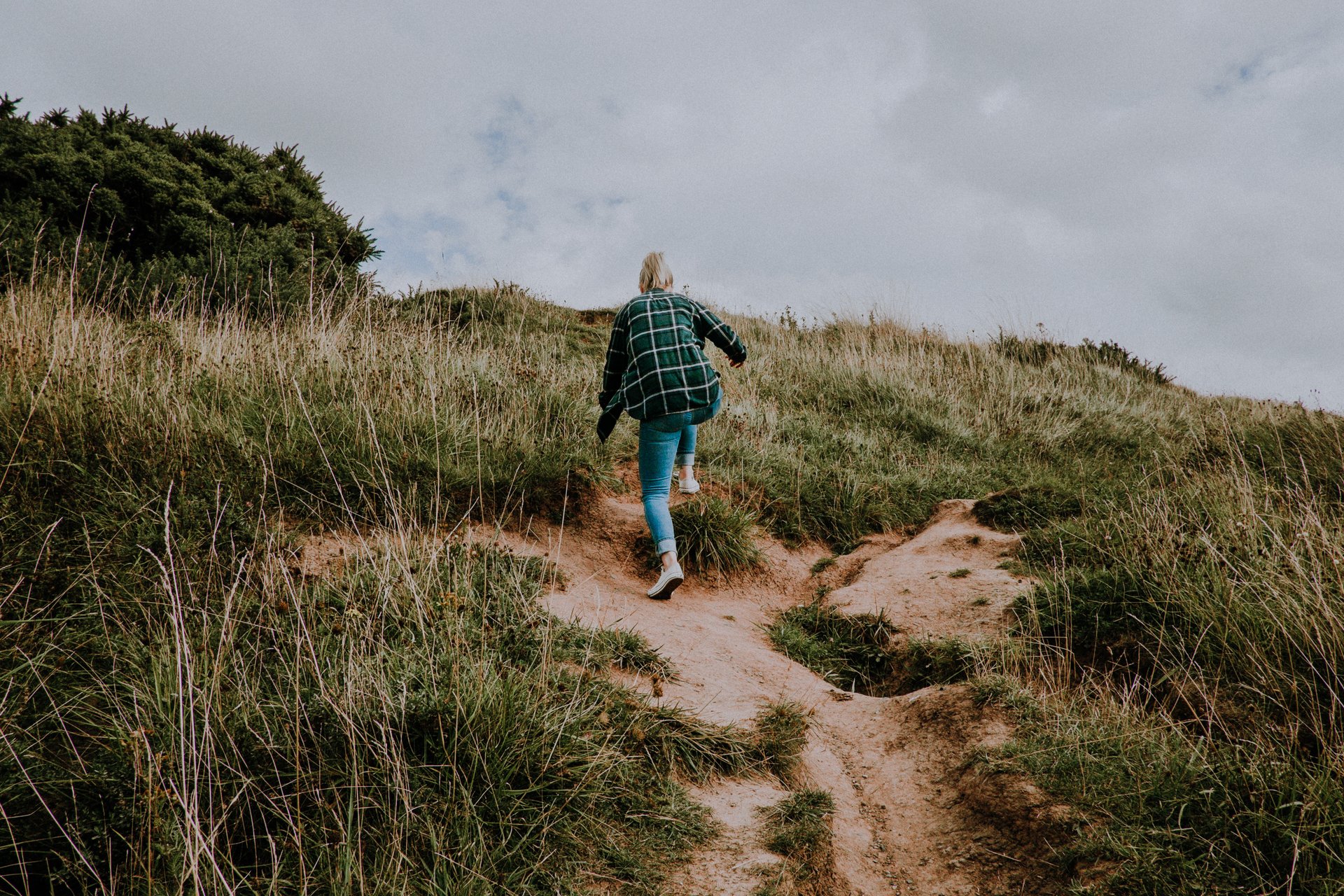 Photography by Mitchell Orr c/o Unsplash